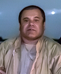  Joaquín Archivaldo Guzmán Loera, més conegut com a El Chapo (La Tuna, Badiraguato, Sinaloa, Mèxic, 3 d'abril de 1957), és el líder d'una organització internacional de venda i distribució de droga anomenada Alianza de Sangre, també coneguda com a Càrtel de Sinaloa. Després de l'arrest d'Osiel Cárdenas del Càrtel del Golf, Joaquín Guzmán es va convertir en el principal traficant de drogues a Mèxic.[1] El 1993 va ser detingut a Ciutat de Guatemala, i extradit a Mèxic, però vuit anys després va escapar de la presó de màxima seguretat de Puente Grande, a Jalisco. El 8 gener de 2016 Chapo va ser capturat un altre cop per la policia mexicana.[7] El 20 de gener de 2017 Chapo va ser extradit als Estats Units.       